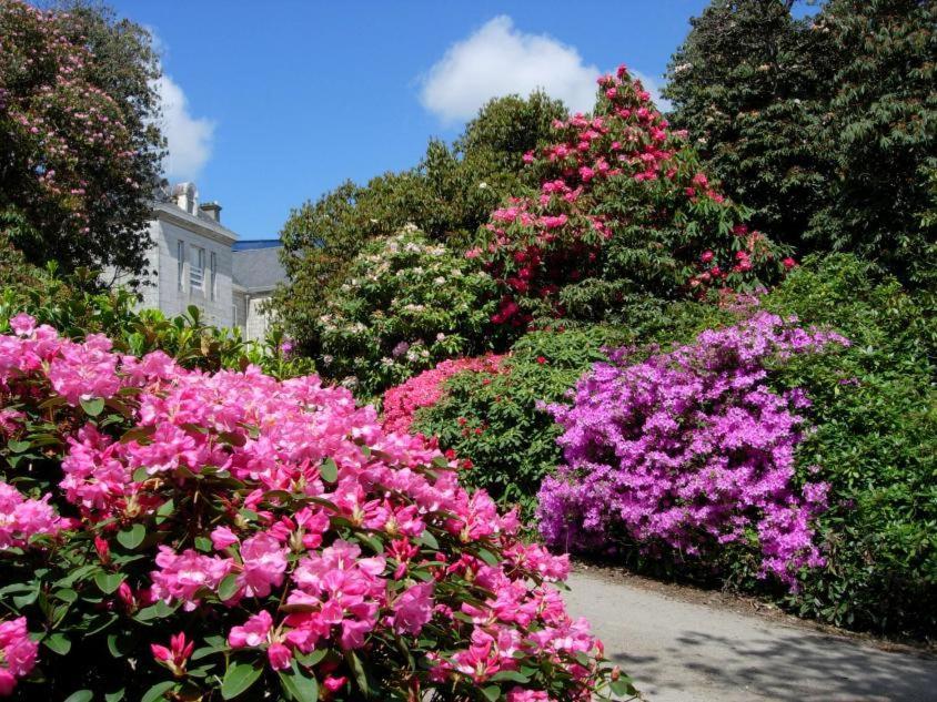 Glasney Rooms, University Campus Penryn Фалмът Екстериор снимка